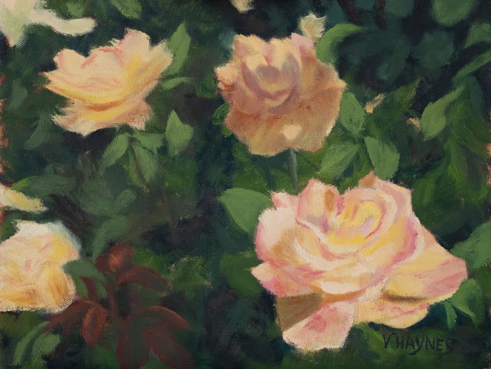 Yellow and Pink Roses